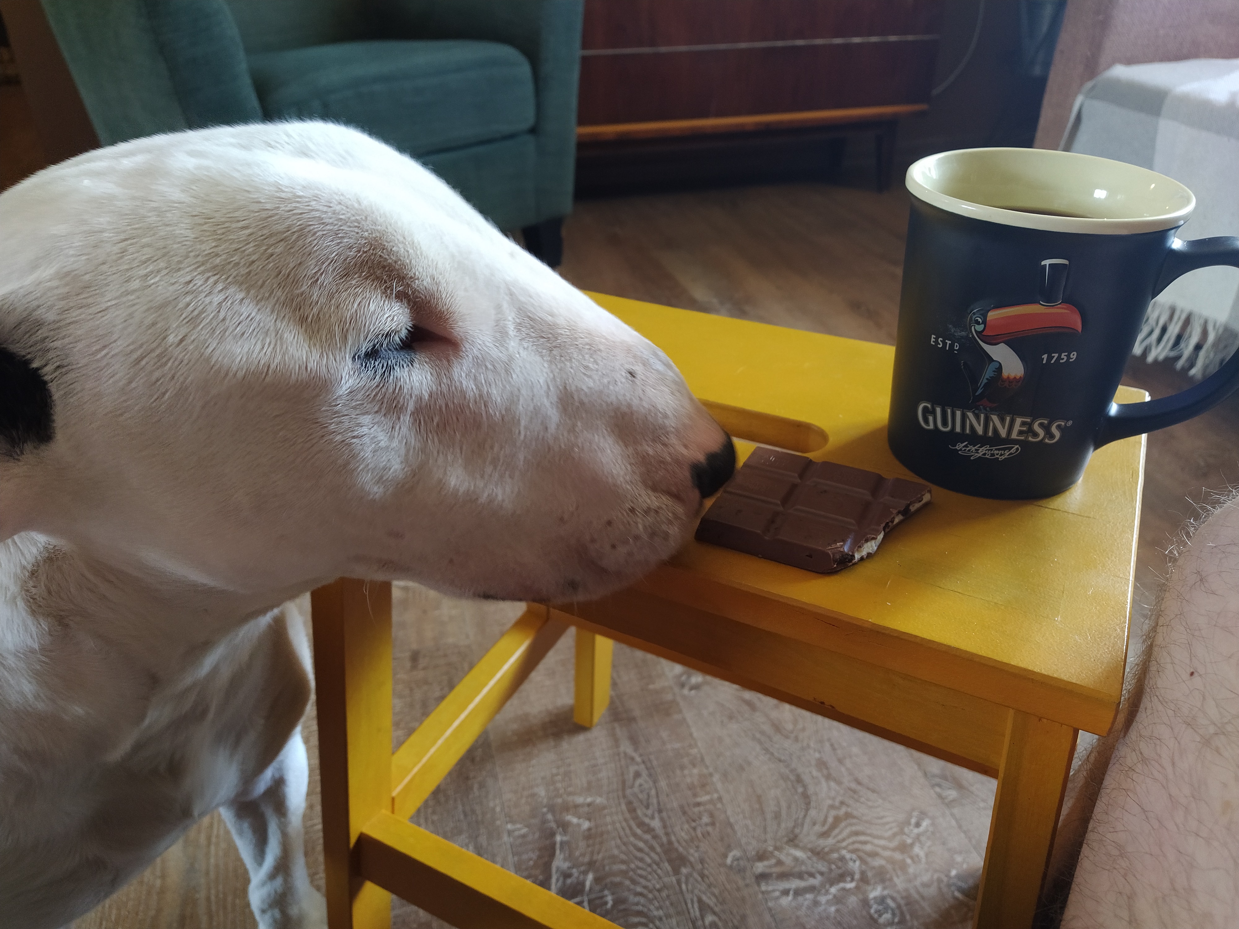 Ох уж этот карантин! - Бодибилдинг форум AnabolicShops