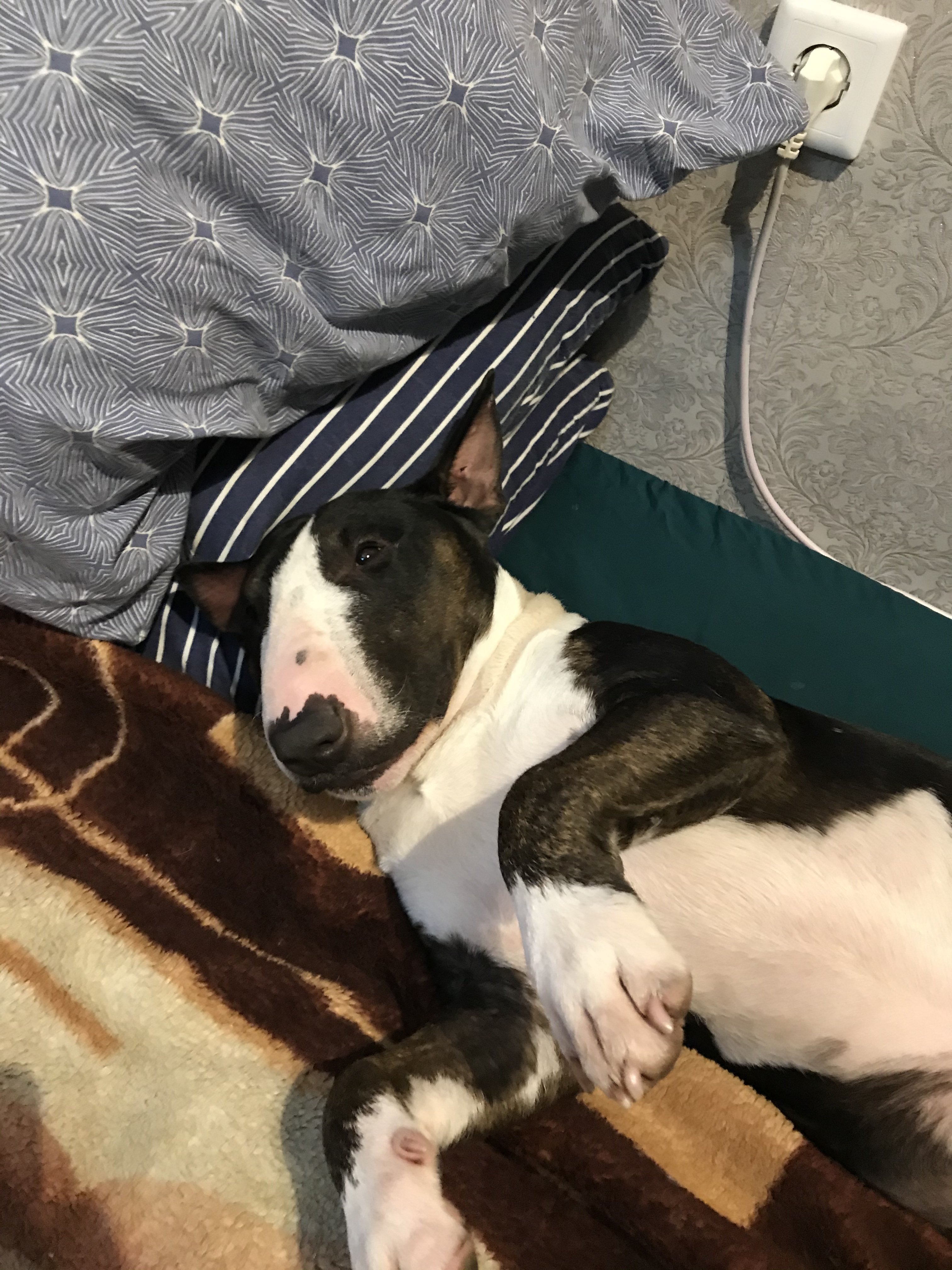 Ох уж этот карантин! - Бодибилдинг форум AnabolicShops