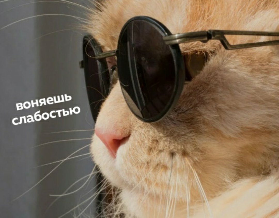 Курилка- разговоры на любые темы - Бодибилдинг форум AnabolicShops