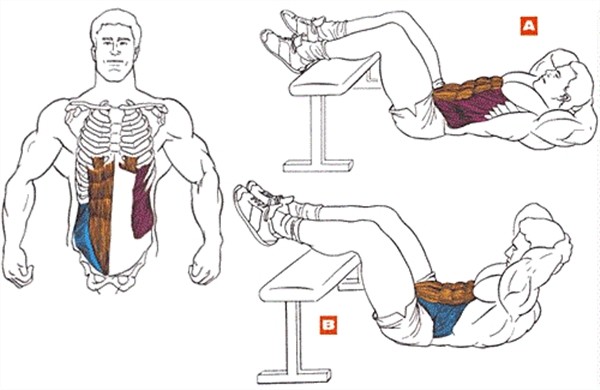 Homosteron.com оф.дилер Zphc|CanadaPeptides|Ergo Mrc - Бодибилдинг форум AnabolicShops