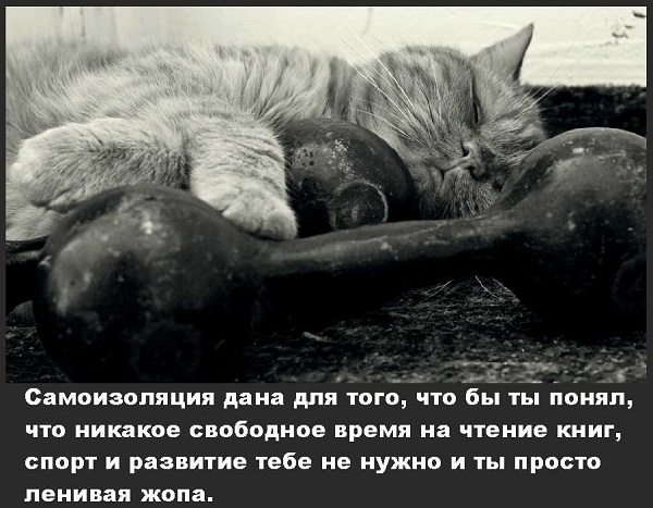 Курилка- разговоры на любые темы - Бодибилдинг форум AnabolicShops