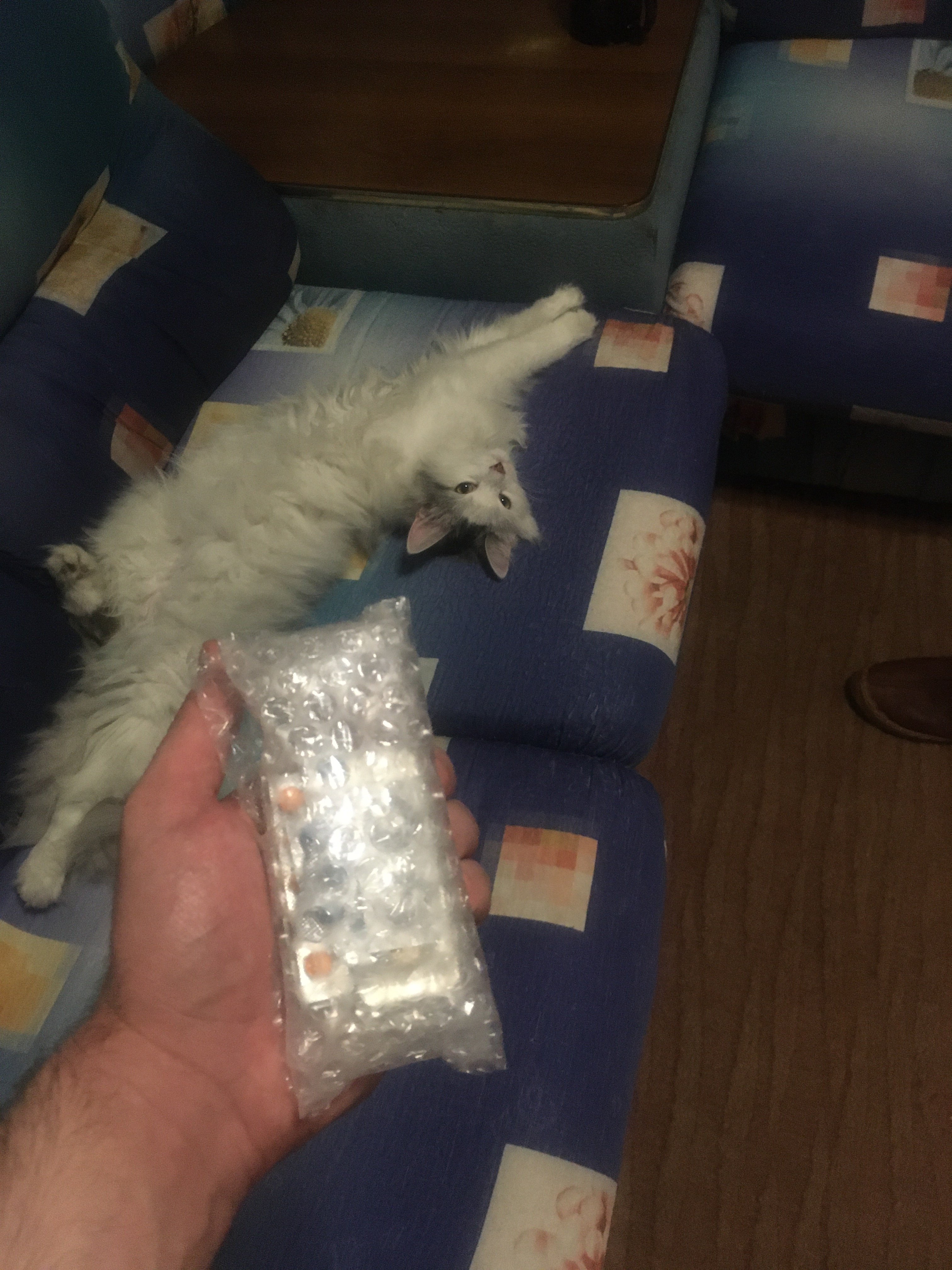 Genetrip Market - Всё для потенции, секса и пкт! - Бодибилдинг форум AnabolicShops