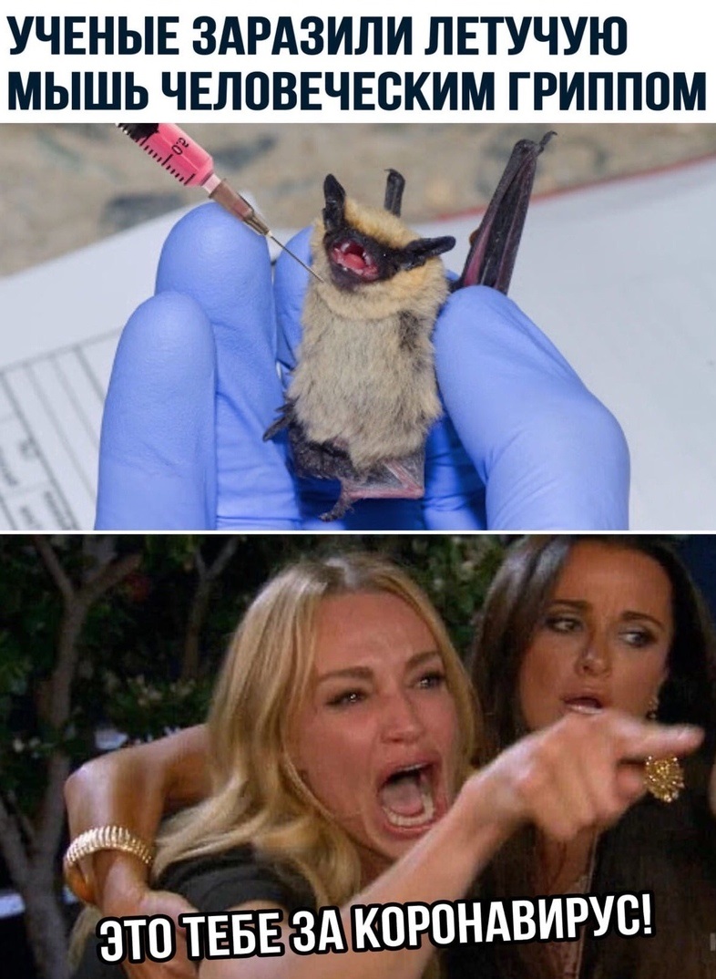 Закрытие  фитнес клубов в Москве - Бодибилдинг форум AnabolicShops