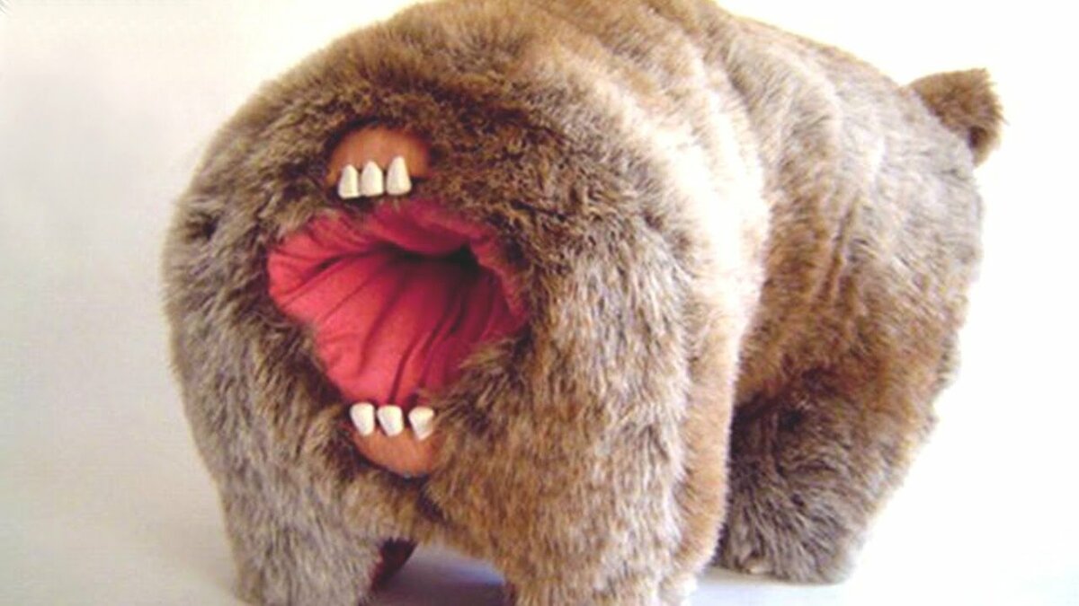 Закрытие  фитнес клубов в Москве - Бодибилдинг форум AnabolicShops