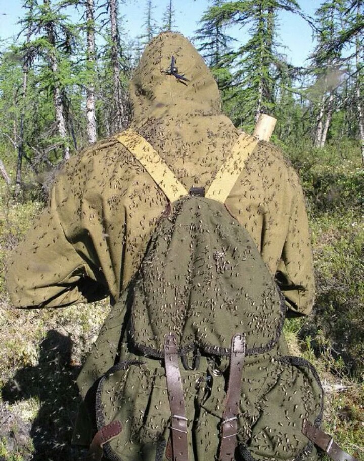 Курилка- разговоры на любые темы - Бодибилдинг форум AnabolicShops