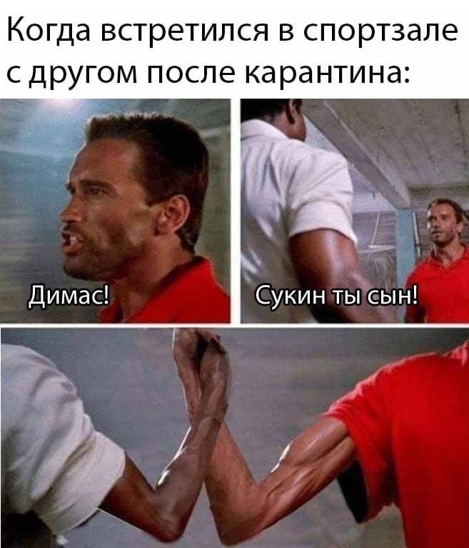 Закрытие  фитнес клубов в Москве - Бодибилдинг форум AnabolicShops