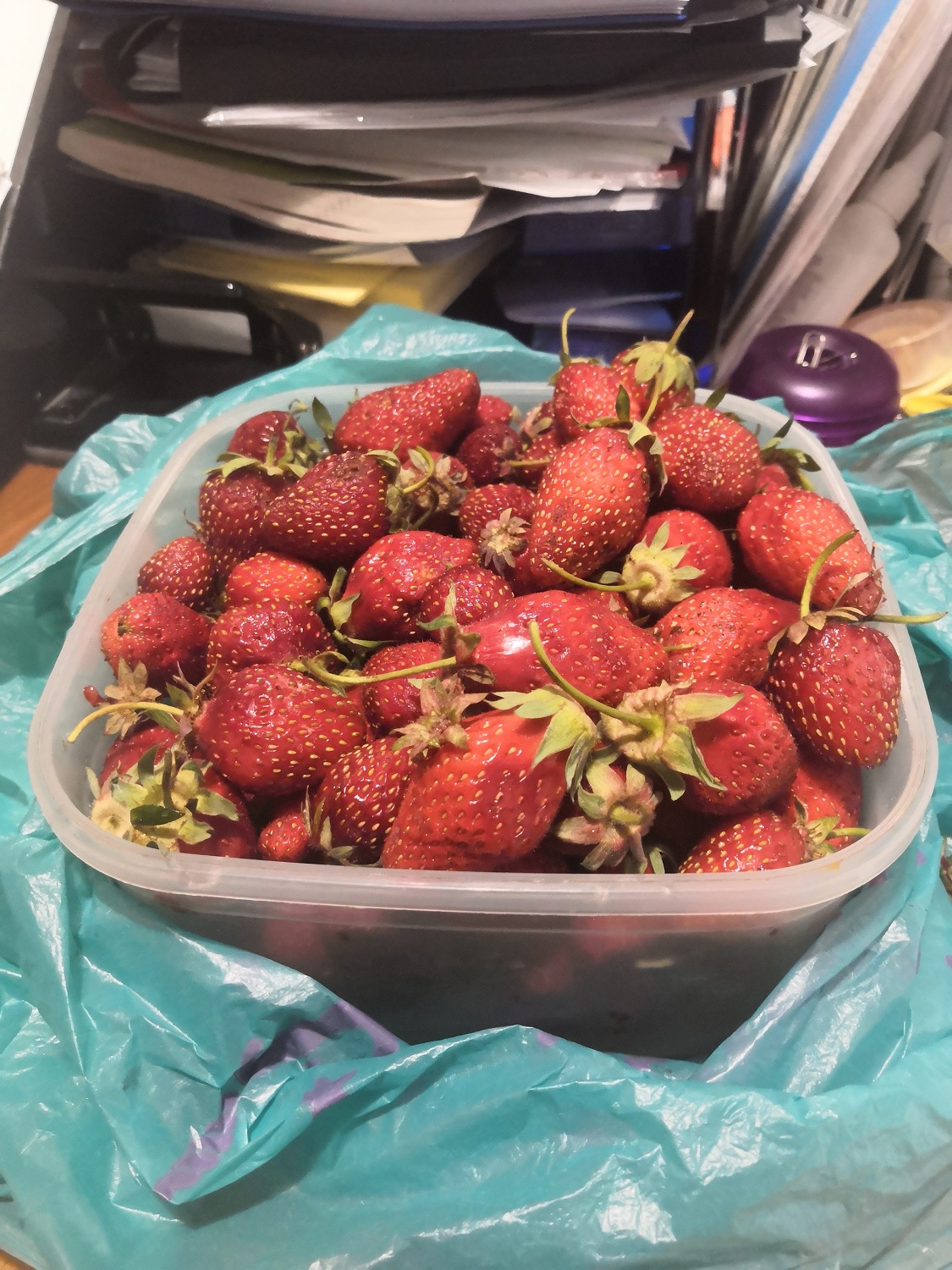 Упал - отжался! - Бодибилдинг форум AnabolicShops