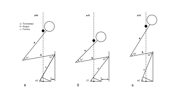 Колени за носки и здоровая спина в приседаниях. - Бодибилдинг форум AnabolicShops