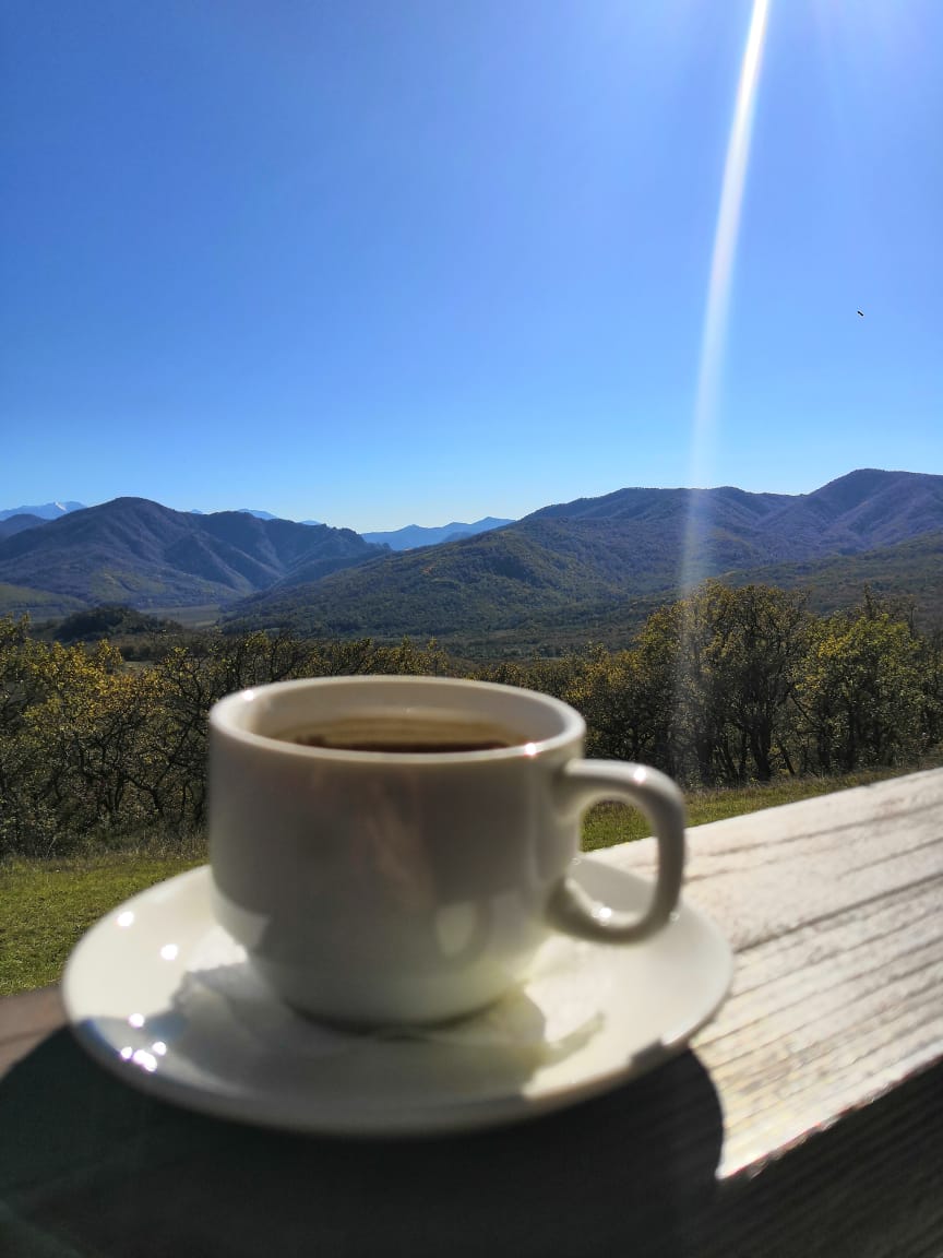 South Park Clan - Бодибилдинг форум AnabolicShops