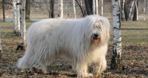 Закрытие  фитнес клубов в Москве - Бодибилдинг форум AnabolicShops