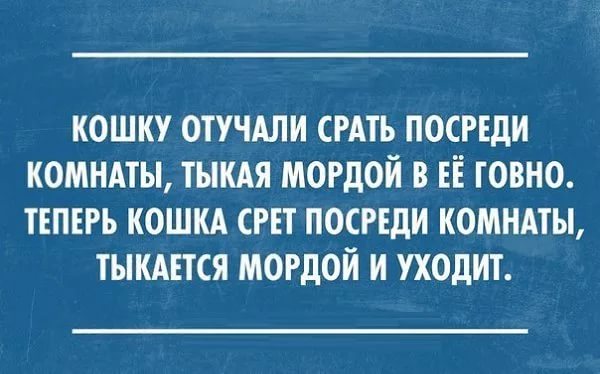 Steroidy.pro   Original pharma+низкие цены. - Бодибилдинг форум AnabolicShops