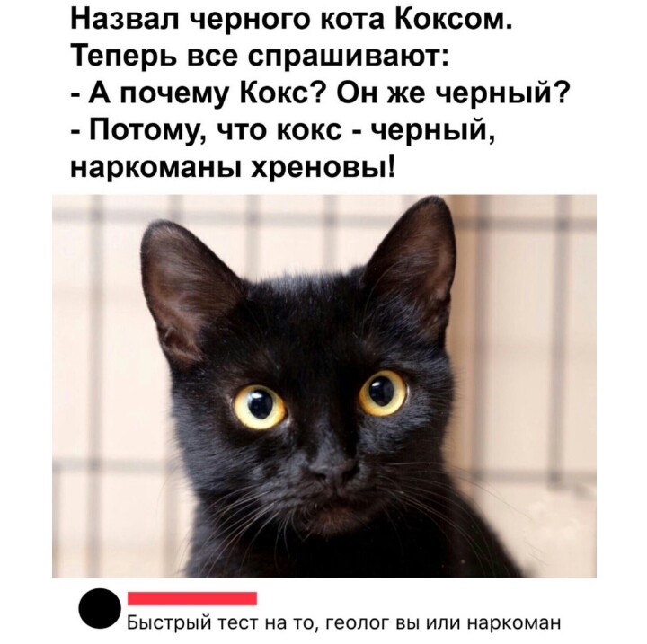 Анекдоты обо всем - Бодибилдинг форум AnabolicShops