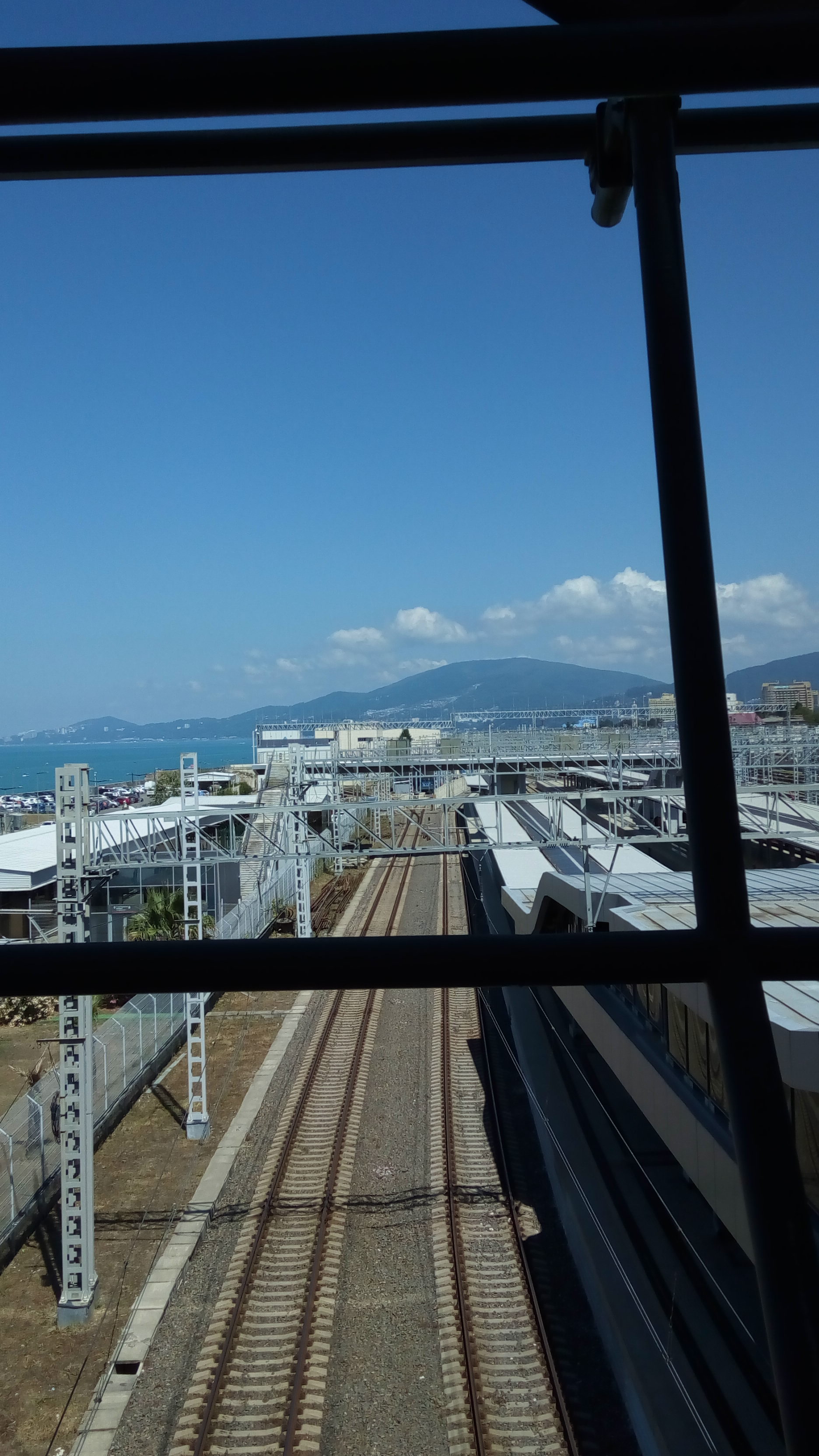 Бритиш Драгон в РФ и Украине - Бодибилдинг форум AnabolicShops