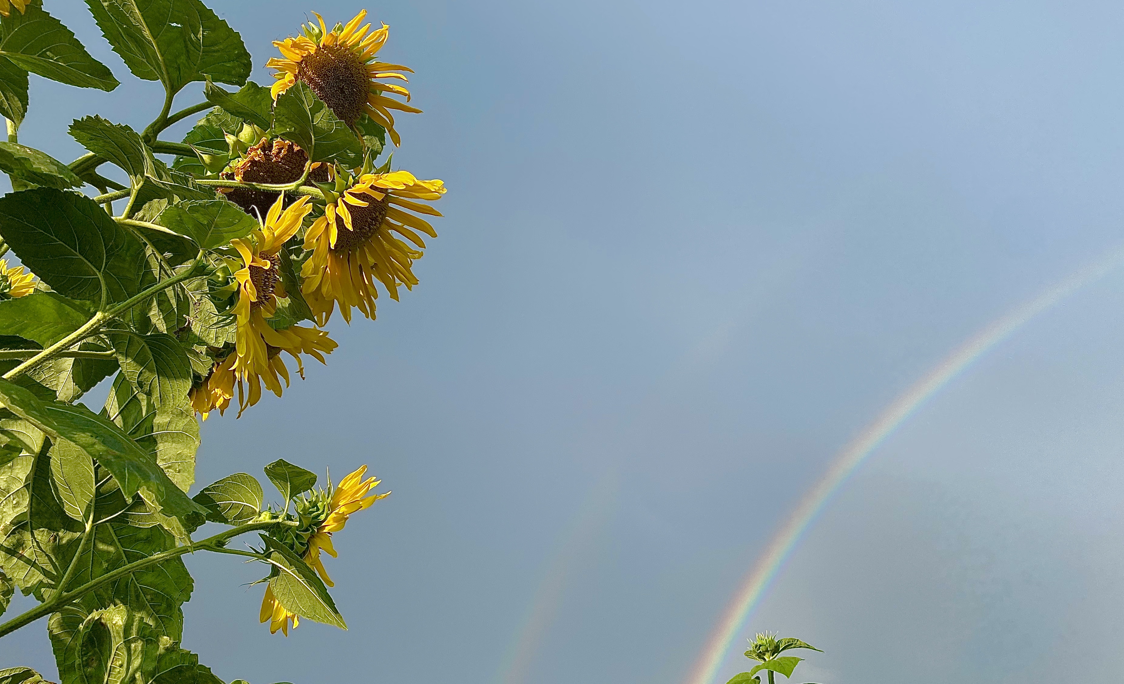 South Park Clan - Бодибилдинг форум AnabolicShops