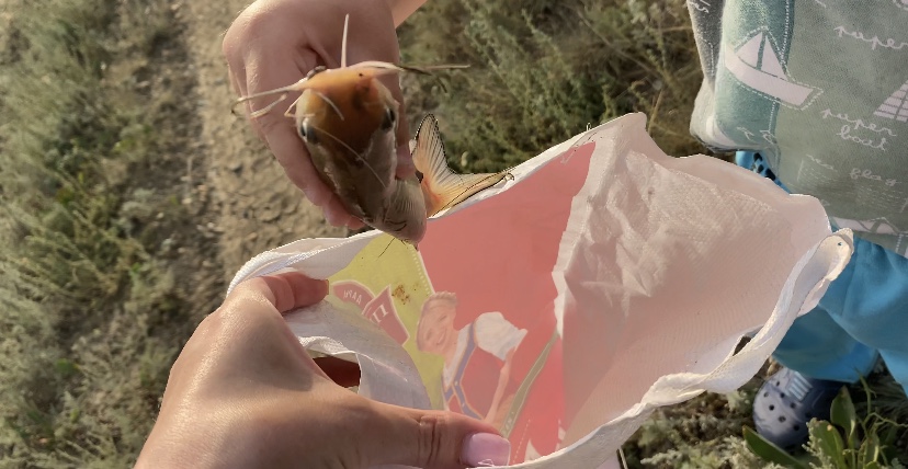 South Park Clan - Бодибилдинг форум AnabolicShops