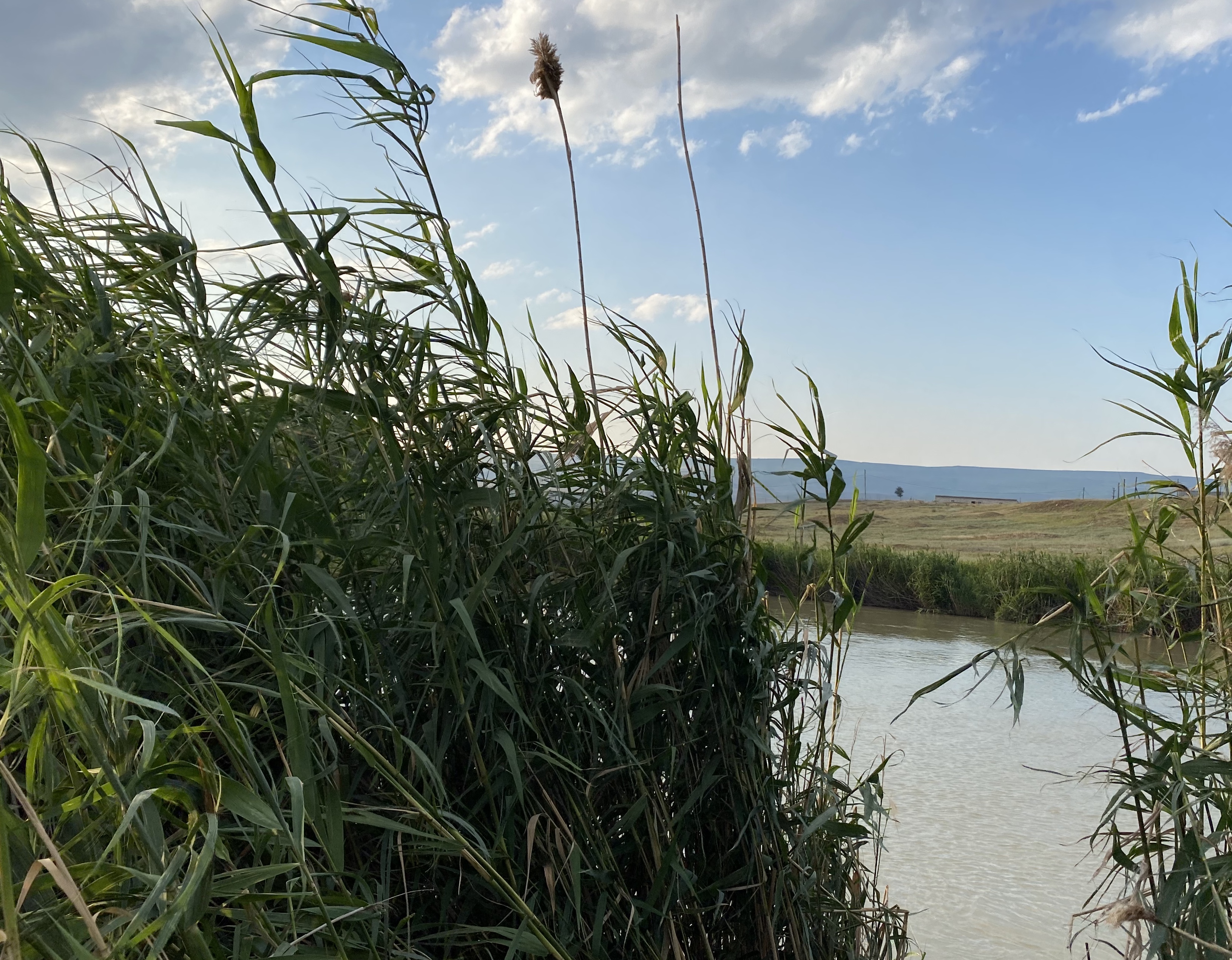 South Park Clan - Бодибилдинг форум AnabolicShops