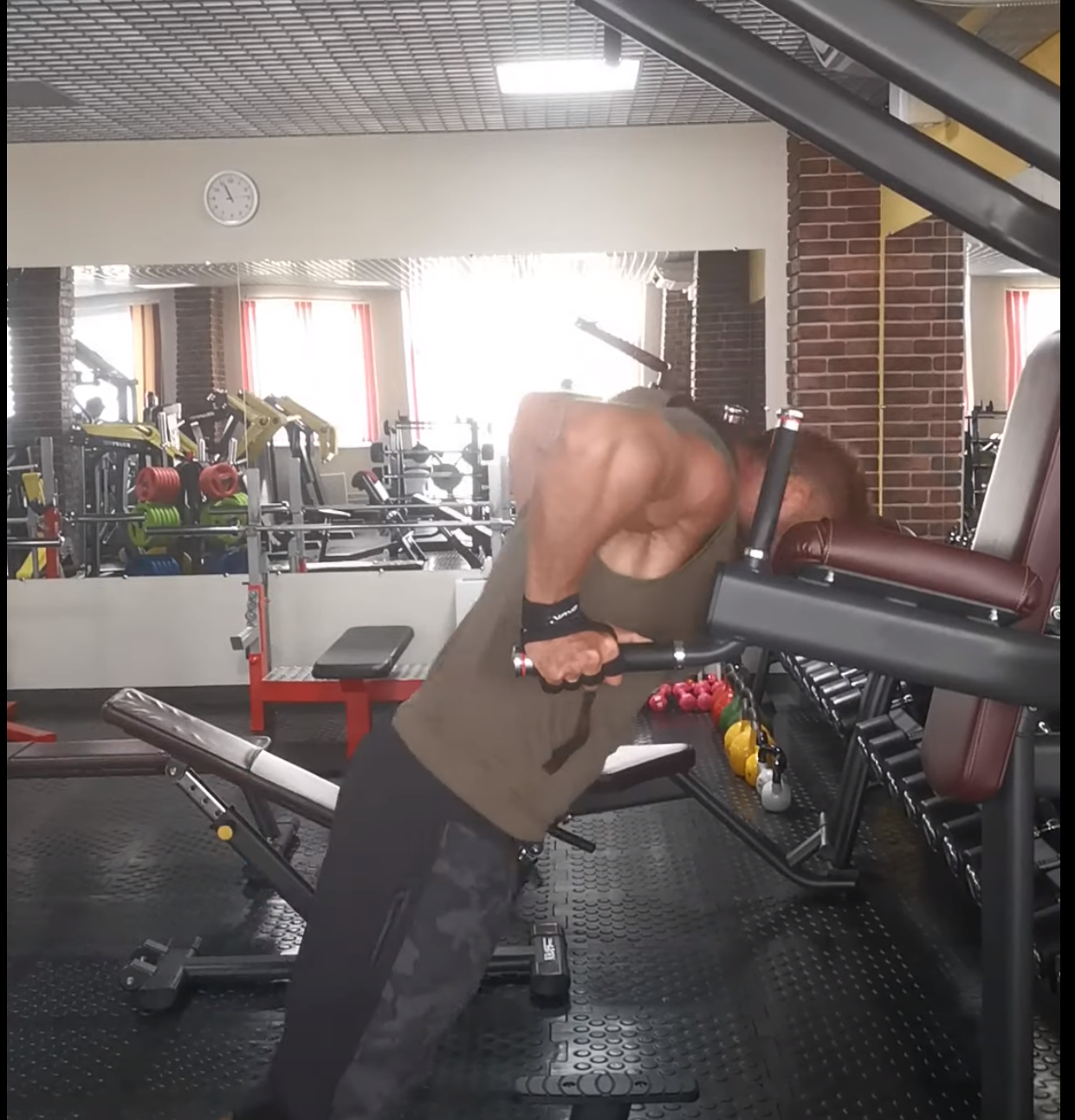 Отжимания на брусьях - Бодибилдинг форум AnabolicShops