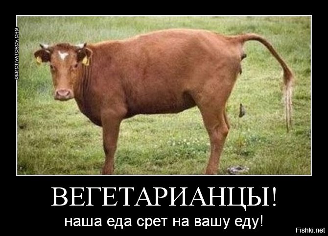 О пищевых предпочтениях и не только… - Бодибилдинг форум AnabolicShops