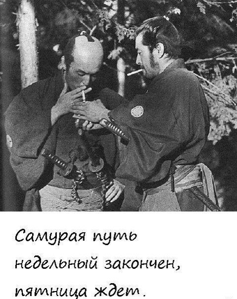 Thomas&Co - Медицинское качество. - Бодибилдинг форум AnabolicShops