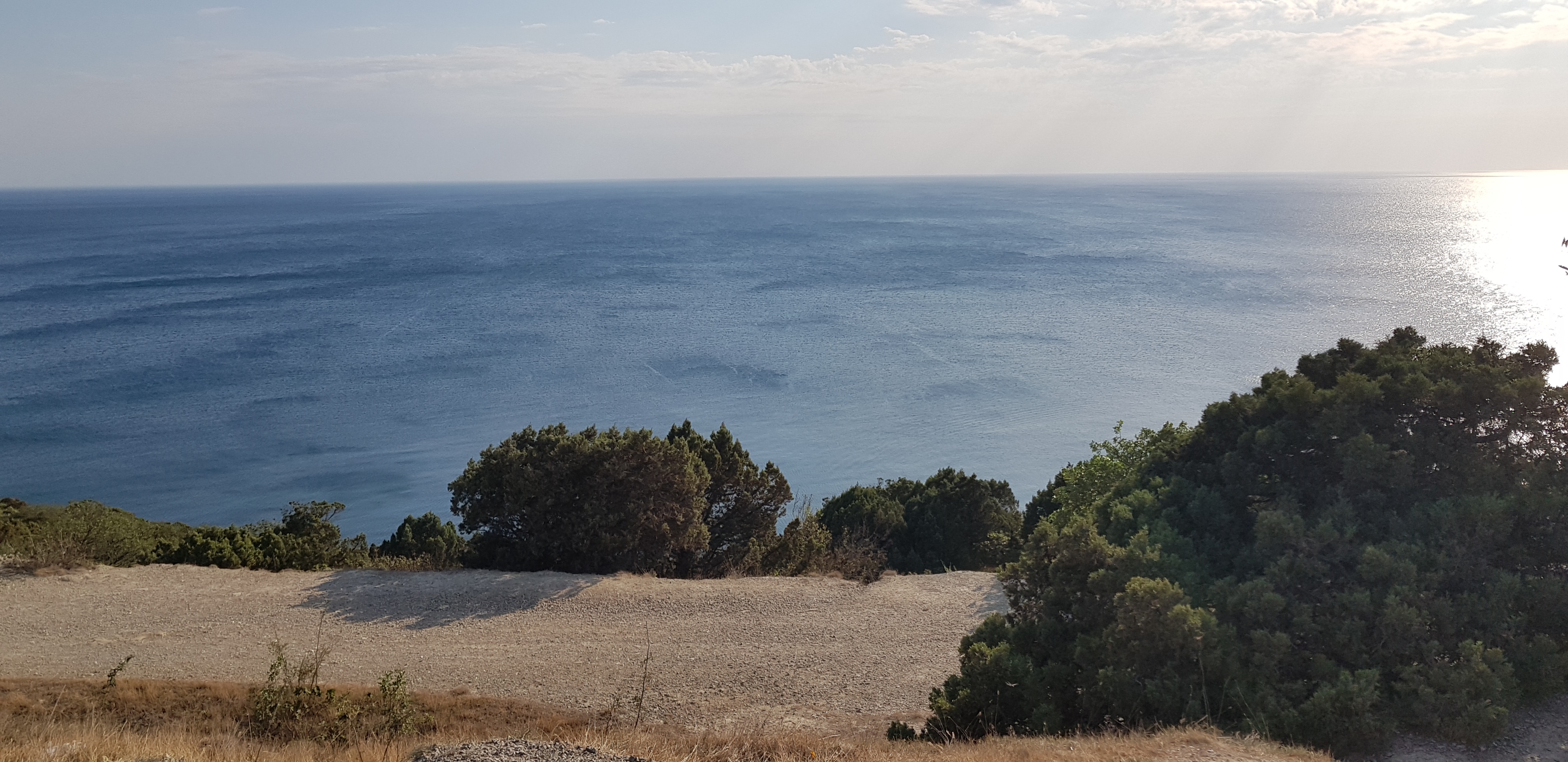 South Park Clan - Бодибилдинг форум AnabolicShops