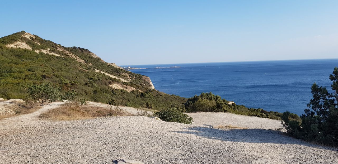 South Park Clan - Бодибилдинг форум AnabolicShops