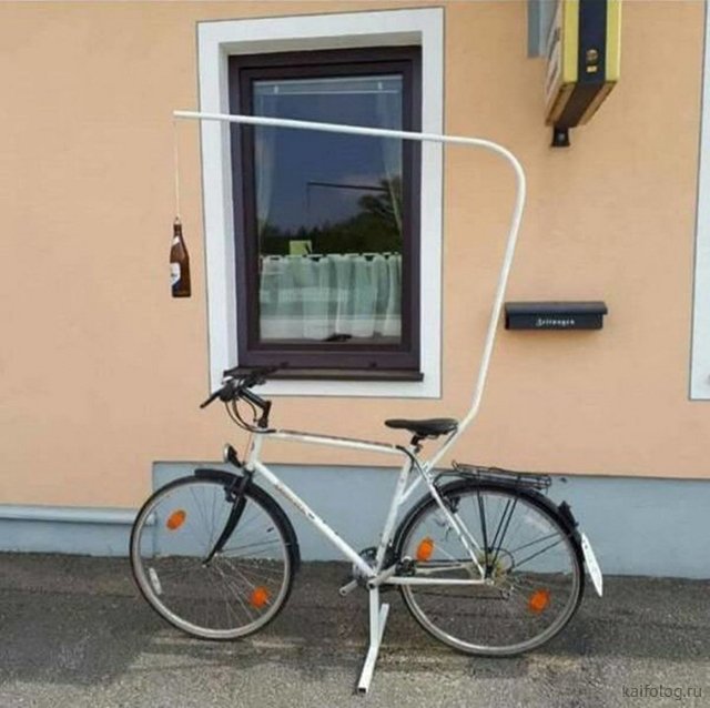 По стопам Магеллана - Бодибилдинг форум AnabolicShops