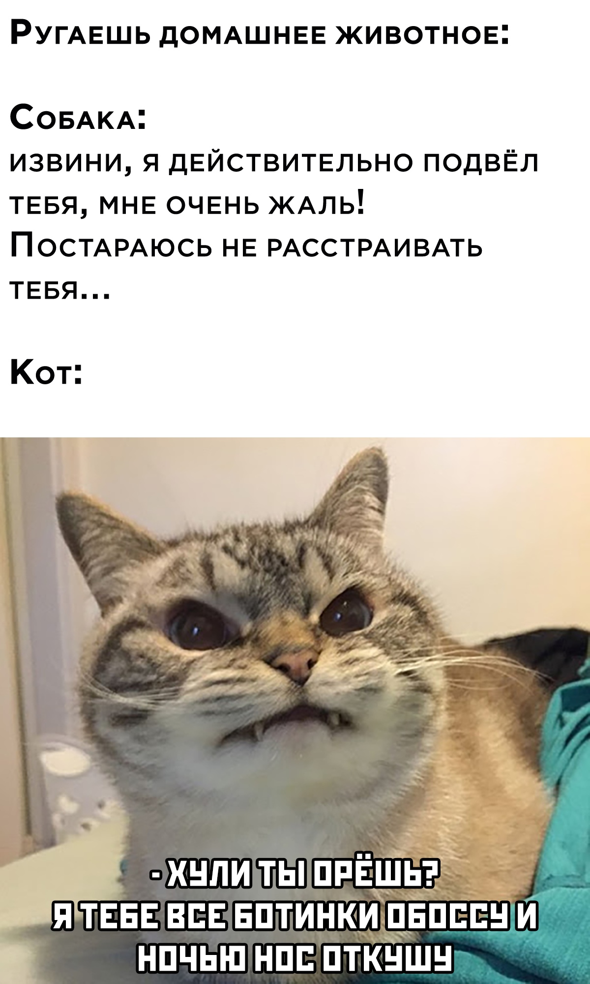 Курилка- разговоры на любые темы - Бодибилдинг форум AnabolicShops