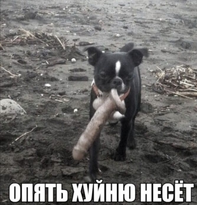 Дека Дик: реальная причина и потенциальное лекарство - Бодибилдинг форум AnabolicShops