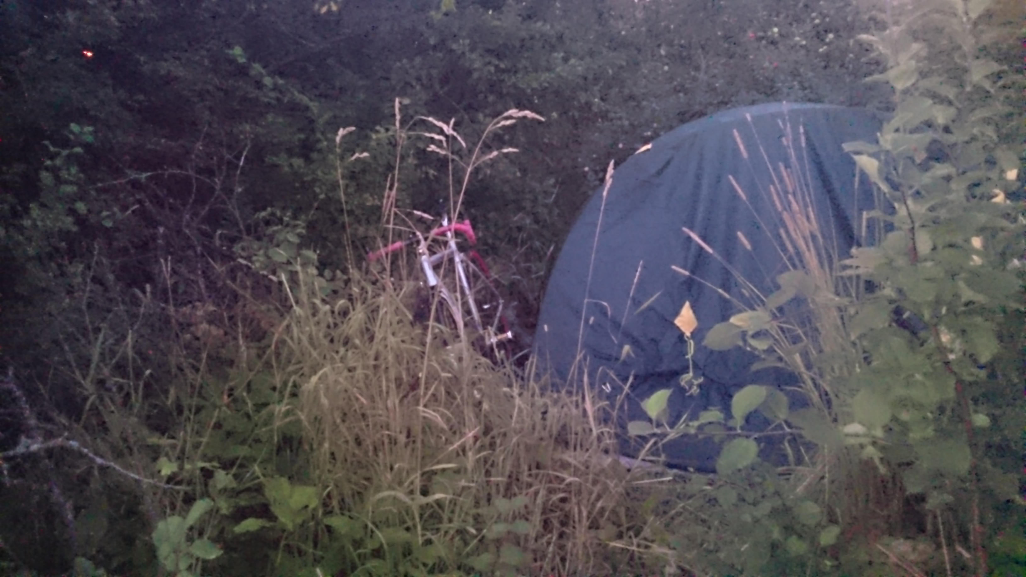 Оживим клановость! Кто с Питера? - Бодибилдинг форум AnabolicShops