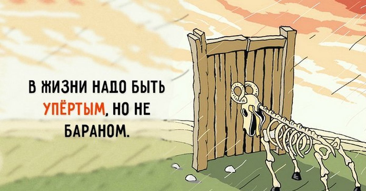 ZPHC - Бодибилдинг форум AnabolicShops