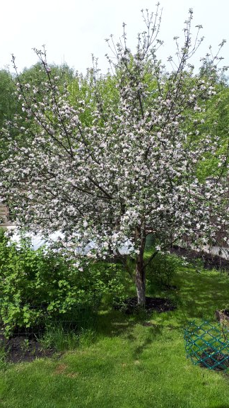 Всё, кроме качалки! - Бодибилдинг форум AnabolicShops