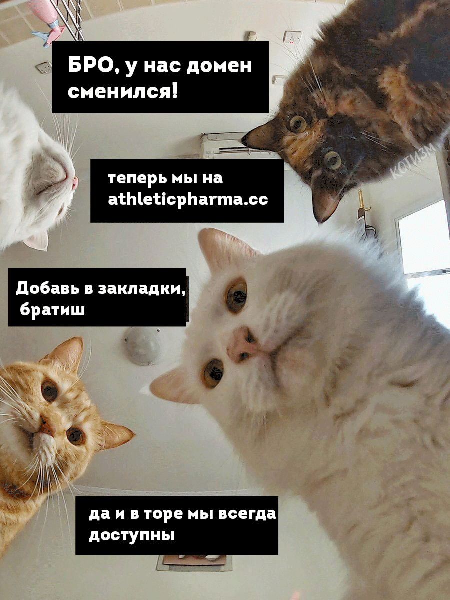 AthleticPharma - 15 лет честной работы! РФ=>РФ - Бодибилдинг форум AnabolicShops