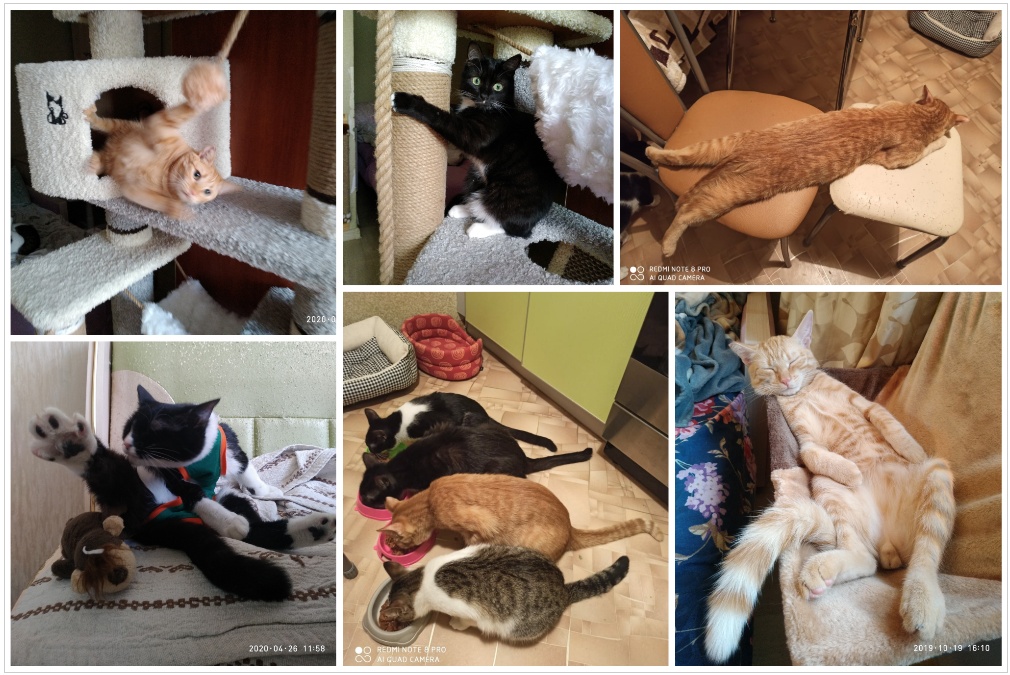 Всё, кроме качалки! - Бодибилдинг форум AnabolicShops