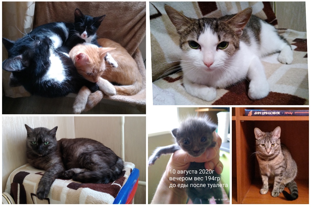 Всё, кроме качалки! - Бодибилдинг форум AnabolicShops