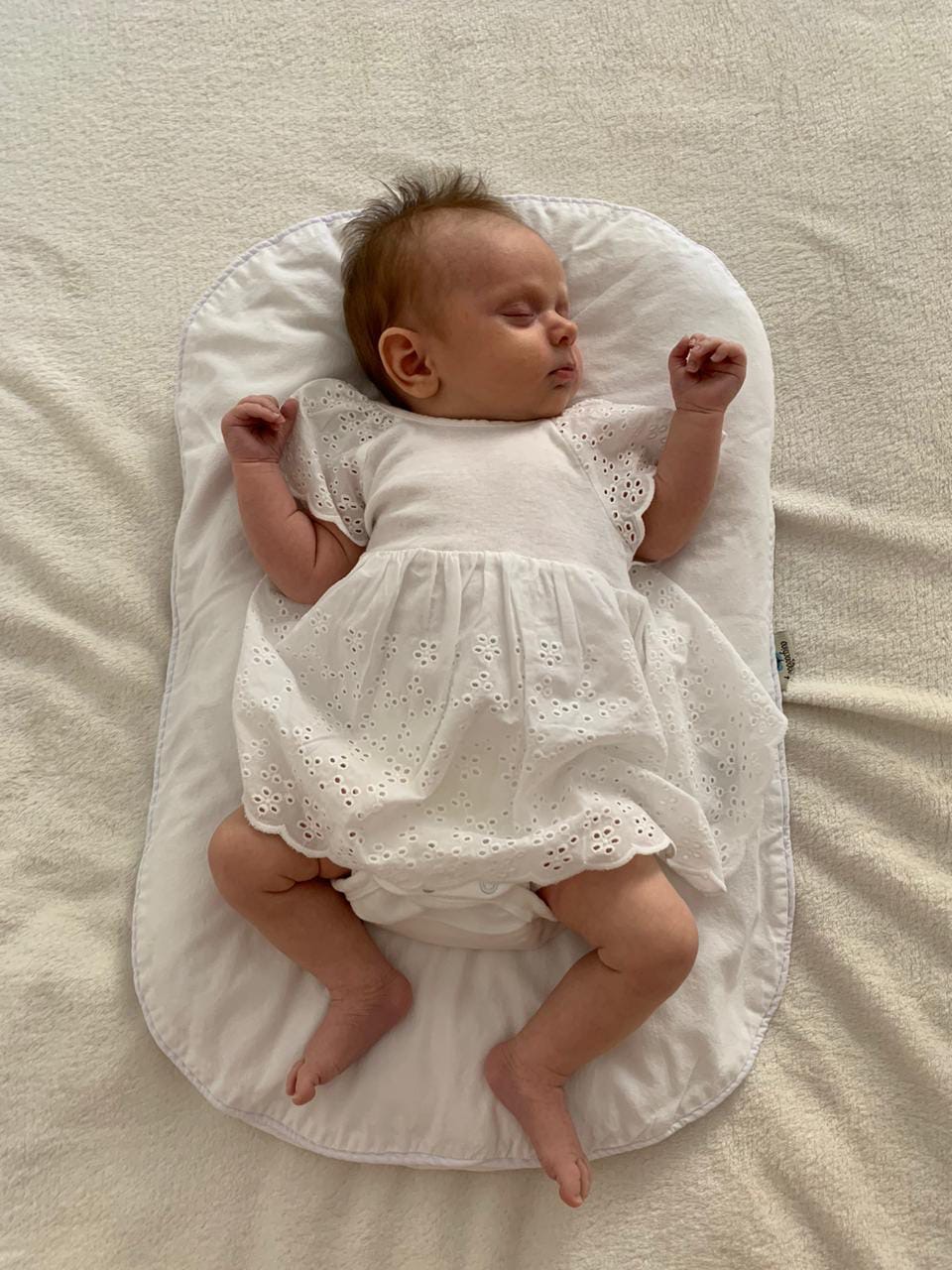 Подготовка на Чемпионат России 2020. - Бодибилдинг форум AnabolicShops