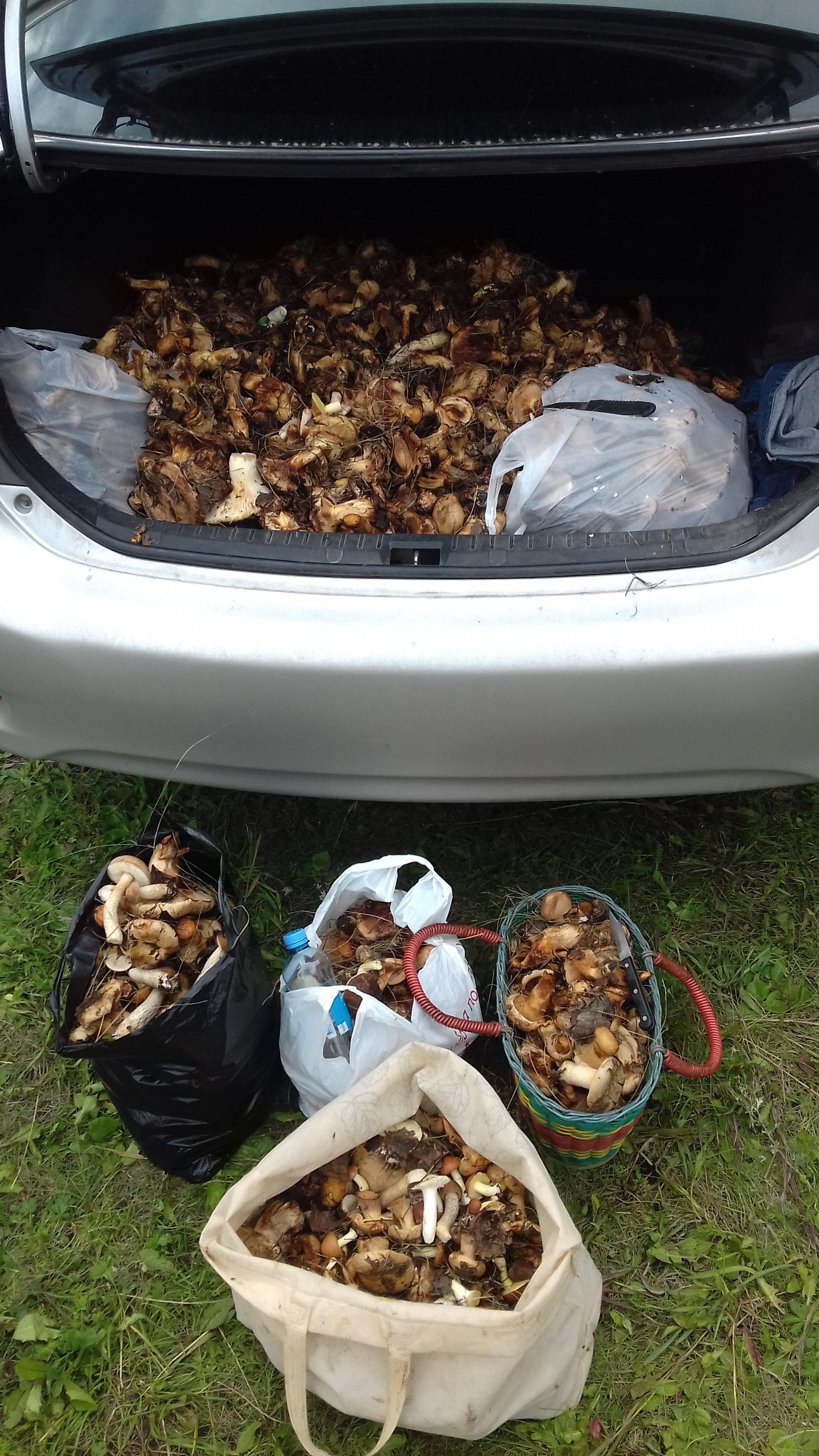 Всё, кроме качалки! - Бодибилдинг форум AnabolicShops