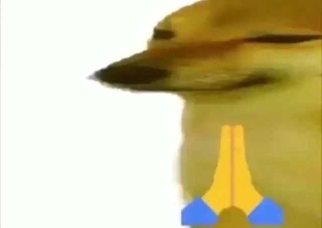 4-ый по счёту 1-ый в 20-ом - Бодибилдинг форум AnabolicShops