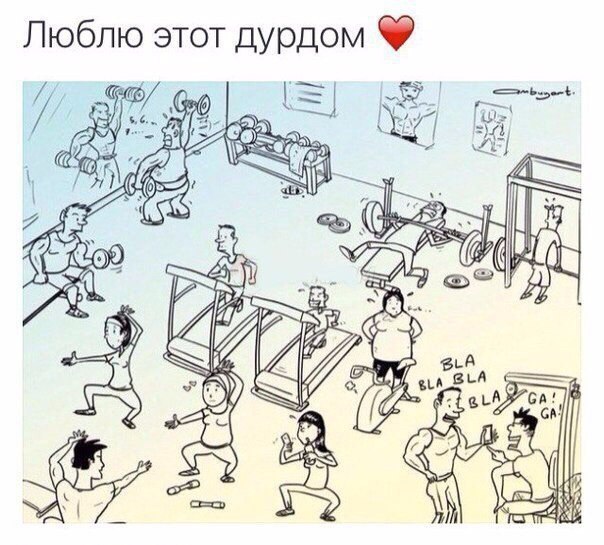 Всё, кроме качалки! - Бодибилдинг форум AnabolicShops