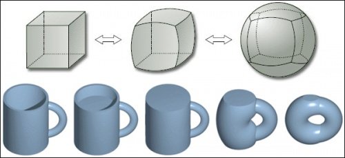 Всё, кроме качалки! - Бодибилдинг форум AnabolicShops