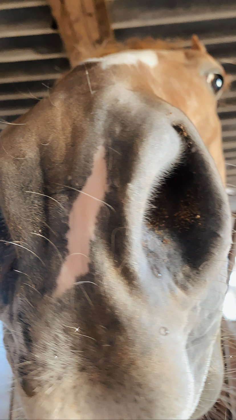 Всё, кроме качалки! - Бодибилдинг форум AnabolicShops