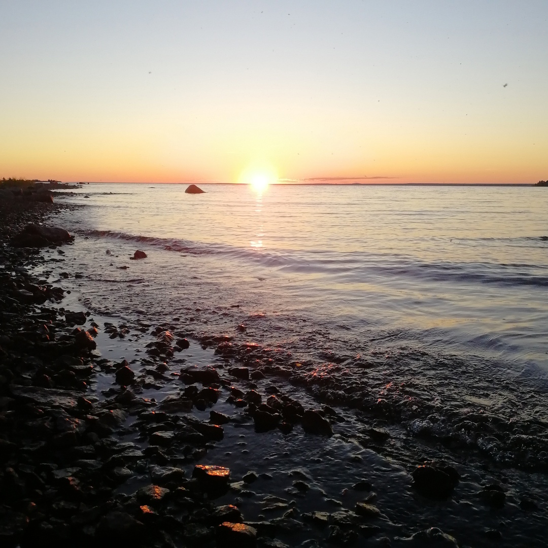 Всё, кроме качалки! - Бодибилдинг форум AnabolicShops