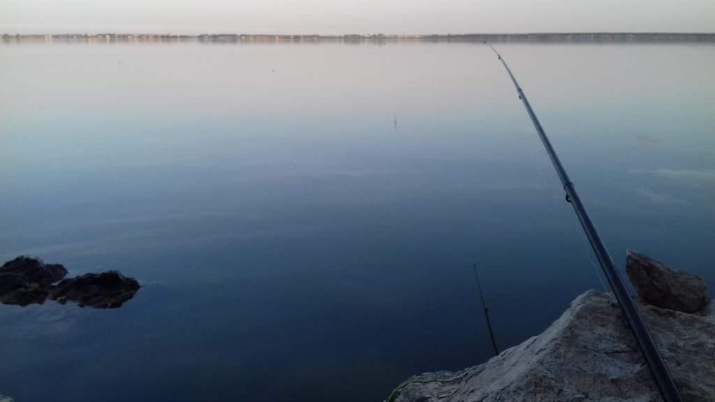 Всё, кроме качалки! - Бодибилдинг форум AnabolicShops