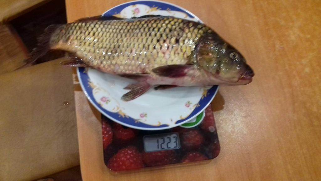 Всё, кроме качалки! - Бодибилдинг форум AnabolicShops