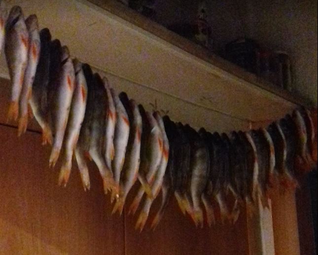 Всё, кроме качалки! - Бодибилдинг форум AnabolicShops