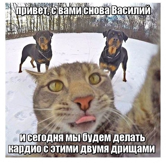 Курилка- разговоры на любые темы - Бодибилдинг форум AnabolicShops