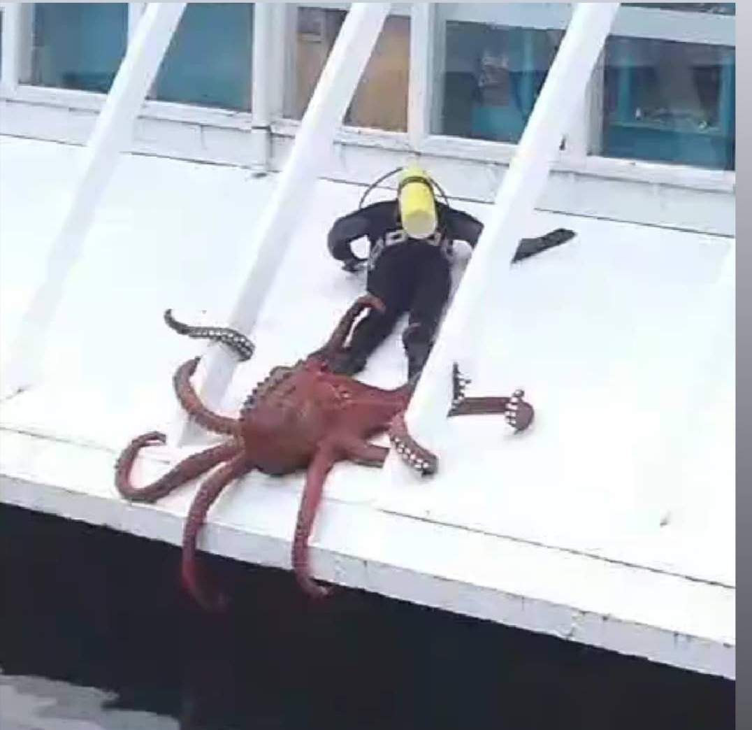 Steroidy.pro   Original pharma+низкие цены. - Бодибилдинг форум AnabolicShops