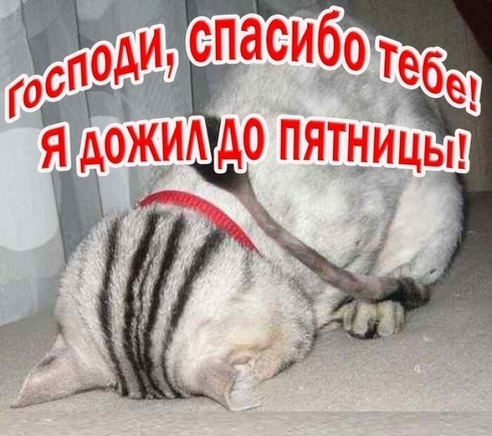 Интернет Магазин nadopinge.com - Бодибилдинг форум AnabolicShops