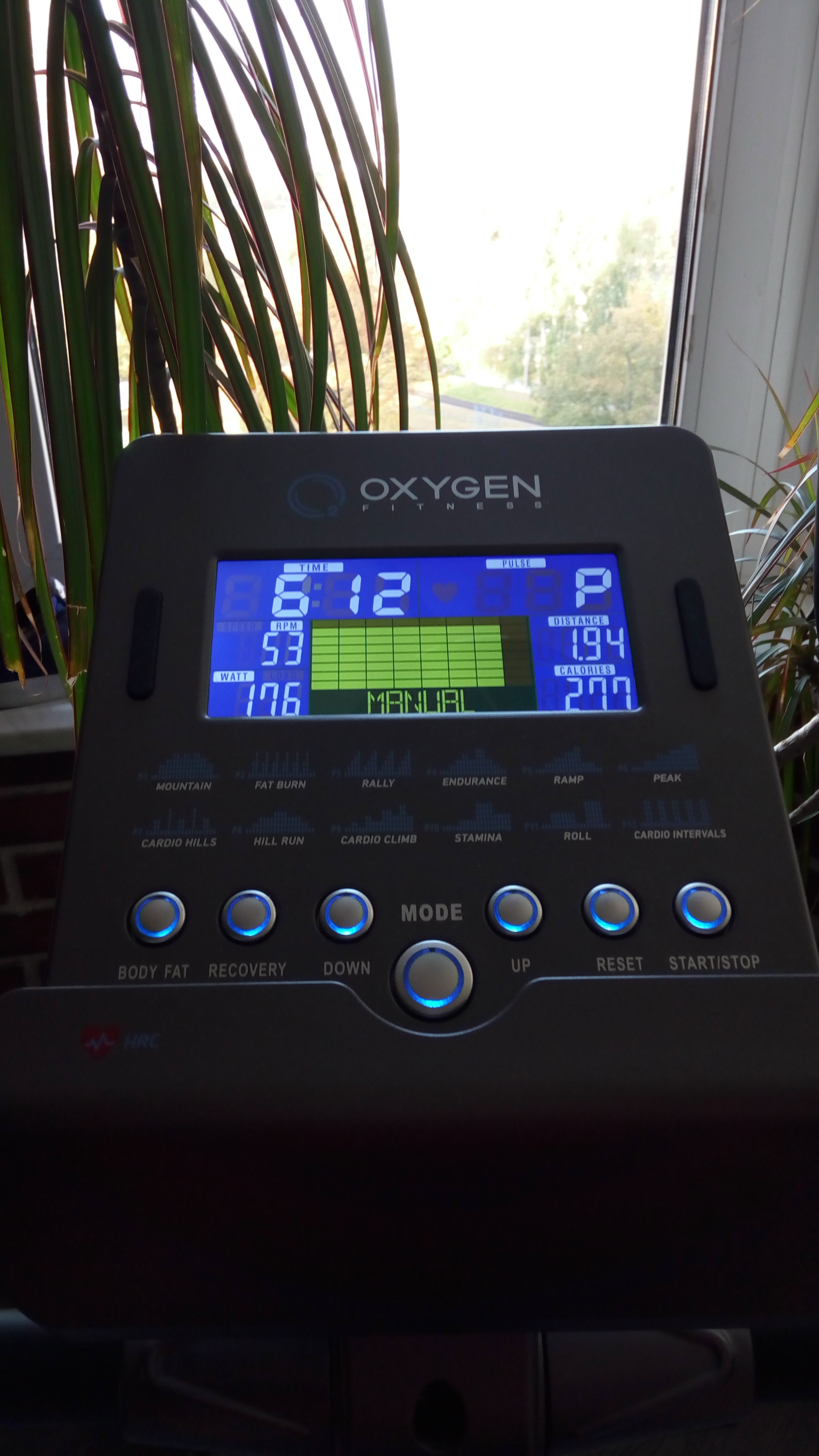 Apple - Бодибилдинг форум AnabolicShops