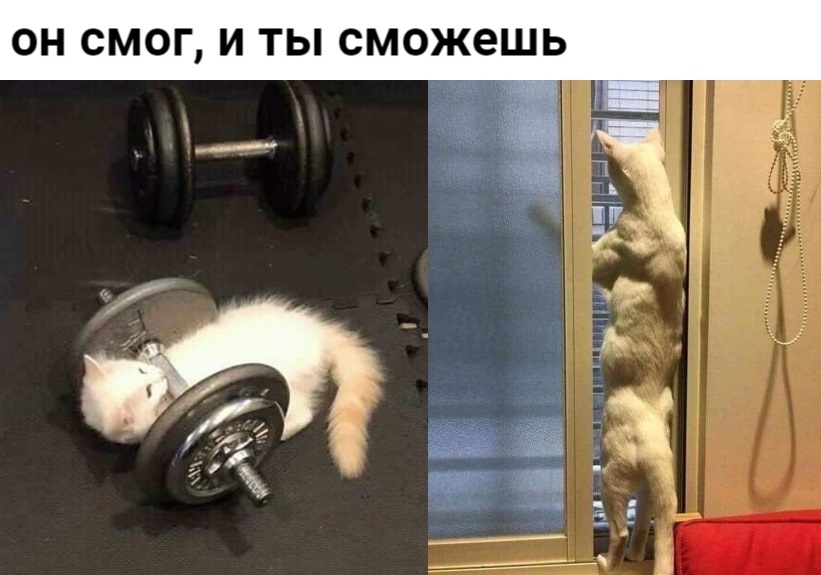 Бритиш Драгон в РФ и Украине - Бодибилдинг форум AnabolicShops