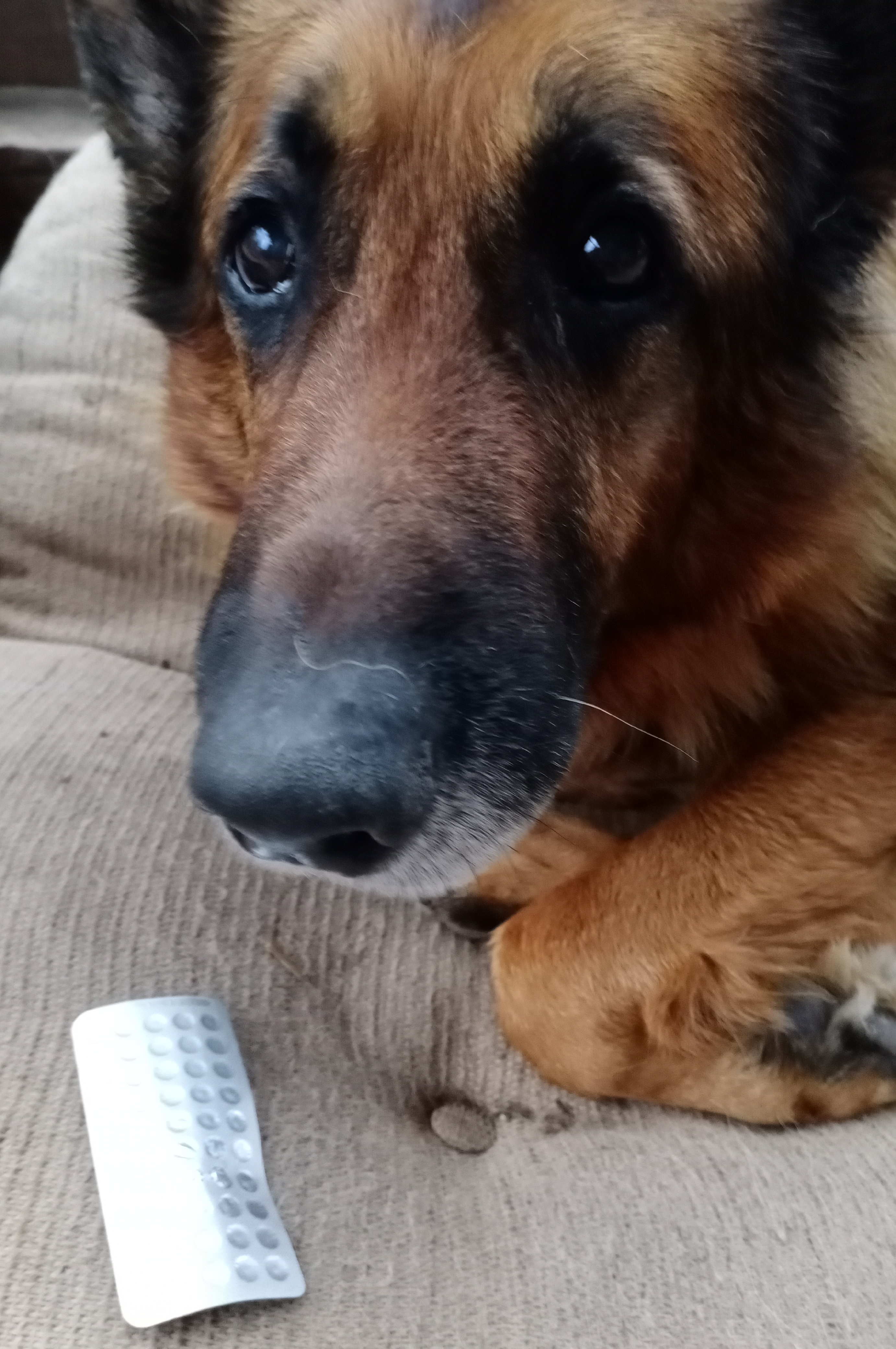 Официальное тестирование  HENNOS2!!! - Бодибилдинг форум AnabolicShops